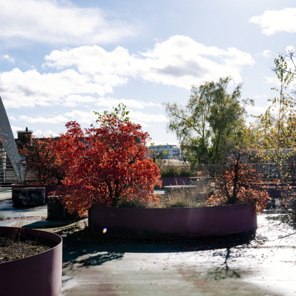 MAAG RECYCLING 2023 ANDRIN FRETZ 409